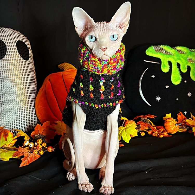 Dobby