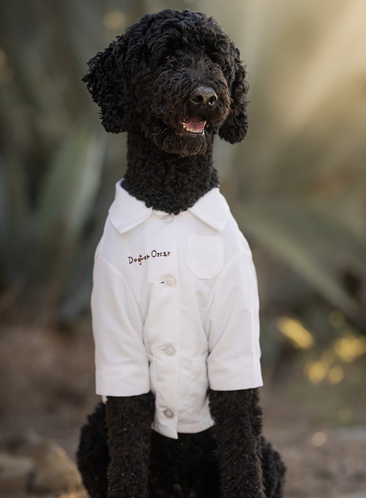 Oscar