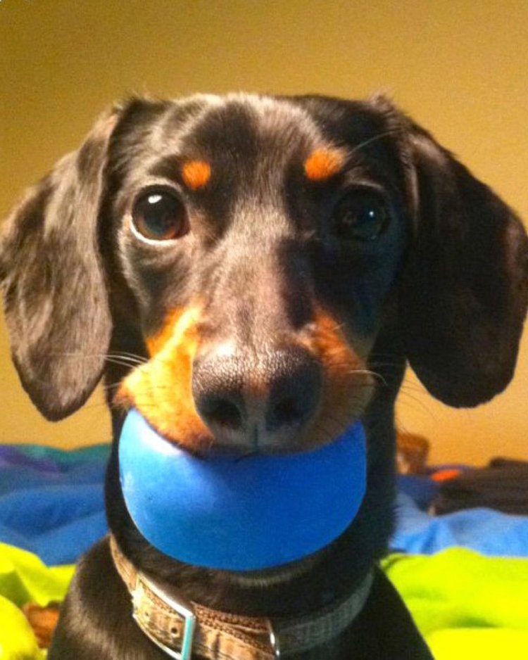 Crusoe