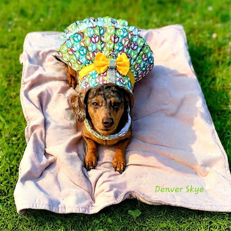 Denver Skye