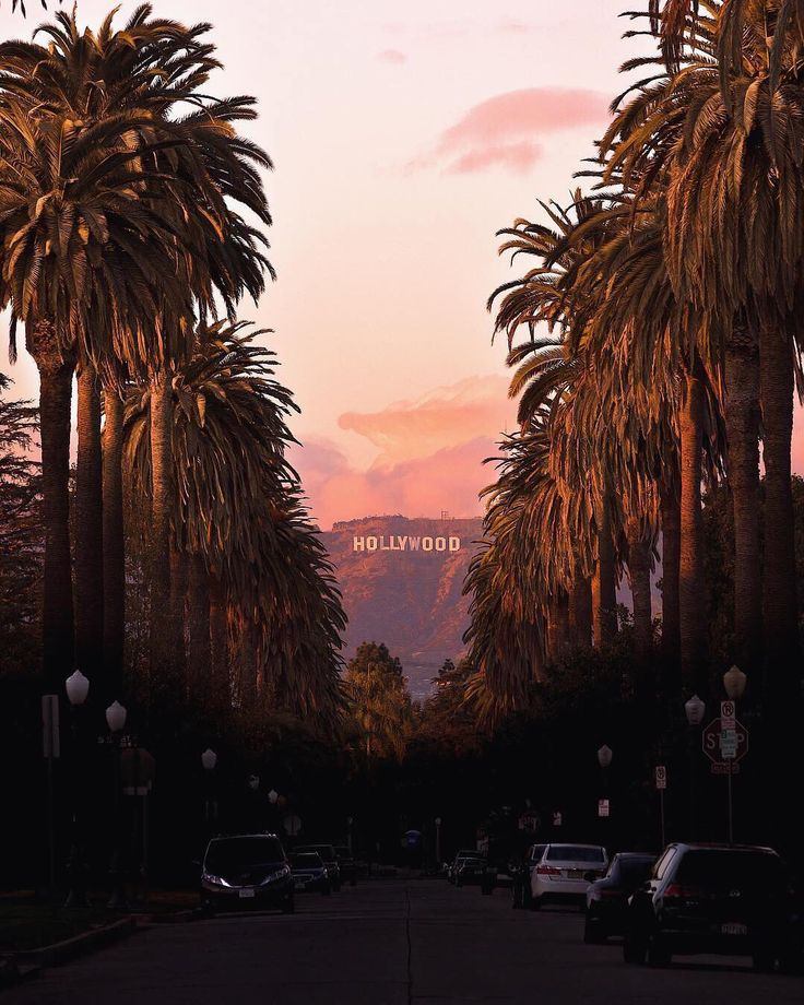 Palm-lined Hollywood street leading toward the Hollywood sign